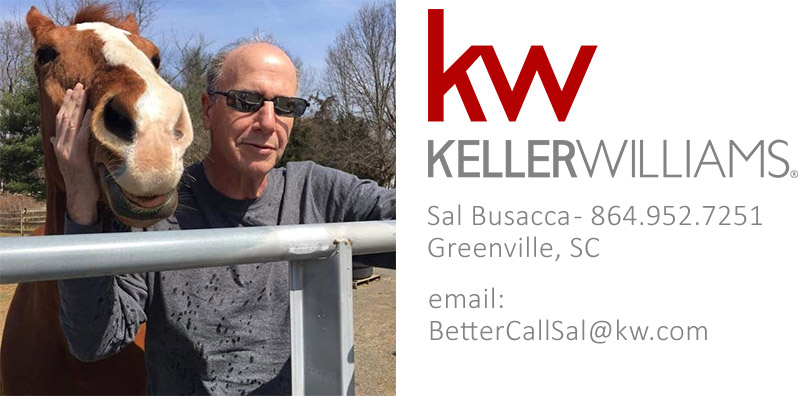Keller williams petting horse.